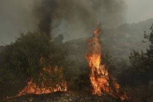 Масштабный пожар: святыня на горе Афон под угрозой уничтожения