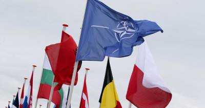 В Атлантическом совете Украине предрекли еще 10 лет без НАТО