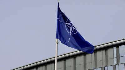 Экс-посол США в Киеве объяснил, почему Украина не войдёт в НАТО в ближайшие 10 лет