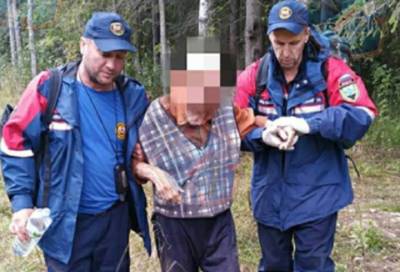 Заблудившийся пожилой грибник провел ночь в лесу Тосненского района