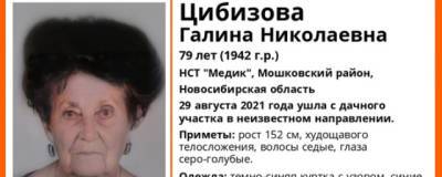 В Новосибирской области ушла с дачи и пропала 79-летняя Галина Цибизова