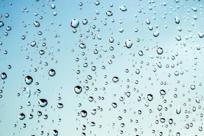 Дожди и похолодание ожидают новосибирцев 8 сентября