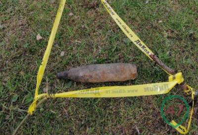 Неразорвавшийся боеприпас обнаружили в пруду у детской площадки в Красном Бору
