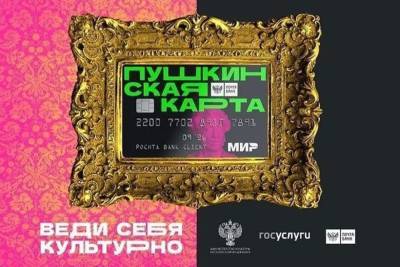 Новосибирцы устроили распродажу билетов по «Пушкинской карте» на Авито