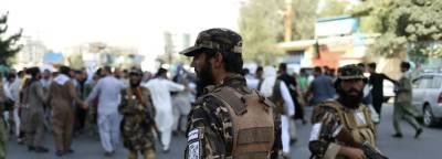 Лидер «Талибана» Ахундзада заявил о введении законов шариата в Афганистане