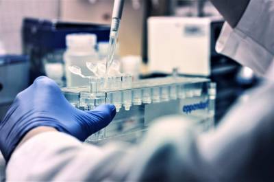 Intercept: США оплатили изучение коронавируса в Ухане еще до начала пандемии