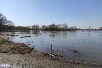 На расчистку русла реки Солотча в Рязани выделили 115,7 млн рублей