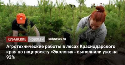 Агротехнические работы в лесах Краснодарского края по нацпроекту «Экология» выполнили уже на 92%