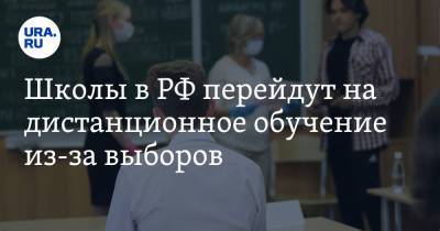 Школы в РФ перейдут на дистанционное обучение из-за выборов