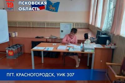 УИКи Псковской области начали приём заявлений от желающих проголосовать по мету нахождения