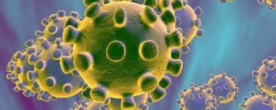 Америка выделила $3 млн на исследование коронавируса в 2014-2019 годах