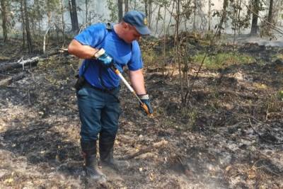 Природные пожары на площади 3 тыс. гектаров потушены в Свердловской области - interfax-russia.ru - Свердловская обл.