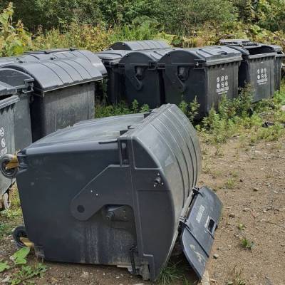 Полсотни контейнеров для мусора обнаружил южносахалинец на окраине города