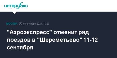 "Аэроэкспресс" отменит ряд поездов в "Шереметьево" 11-12 сентября