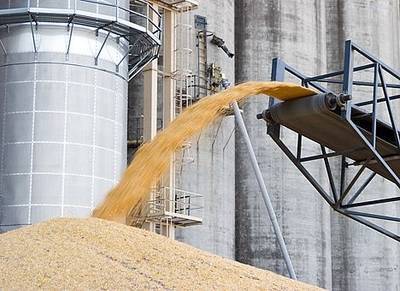 Туркменистан планирует собрать более 1 млн тонн зерна в 2022 году