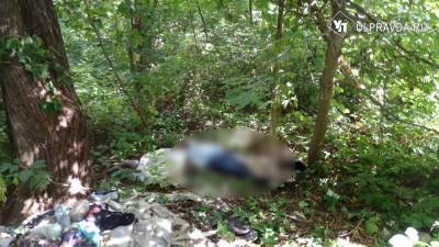 В лесу близ улицы Шолмова рыбак нашёл мёртвого мужчину