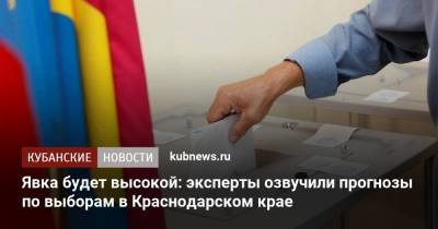 Явка будет высокой: эксперты озвучили прогнозы по выборам в Краснодарском крае