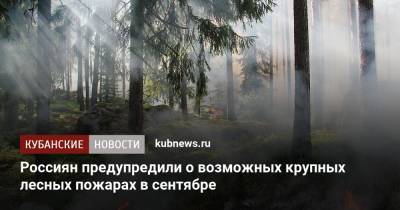Россиян предупредили о возможных крупных лесных пожарах в сентябре
