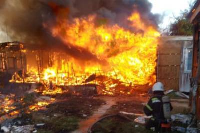 Масштабный пожар разгорелся в Затоке: 25 людей оказались в эпицентре огня, кадры с места - politeka.net - Украина - Одесская обл.