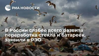 Глава РЭО Денис Буцаев: в России перерабатывается менее 1% батареек и всего 13,2% стекла