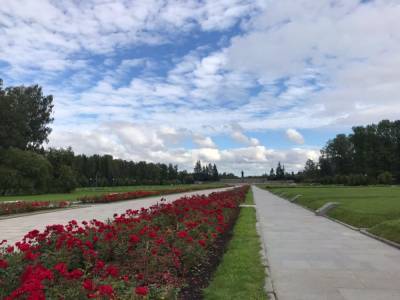 На Пискарёвском кладбище обновят мемориальные плиты