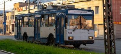 Партия «Яблоко» выступает за сохранение и развитие троллейбусов в Петрозаводске