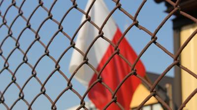 Политик из Польши Михал Дворчик назвал миграционный кризис в стране искусственным