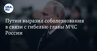 Путин выразил соболезнования в связи с гибелью главы МЧС России