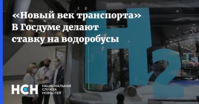 «Новый век транспорта» В Госдуме делают ставку на водоробусы