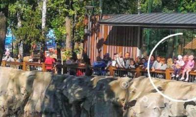 В зоопарке мужчина посадил детей на ограду вольера с медведем: жуткое фото