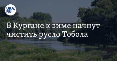 В Кургане к зиме начнут чистить русло Тобола