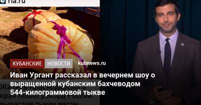 Иван Ургант рассказал в вечернем шоу о выращенной кубанским бахчеводом 544-килограммовой тыкве