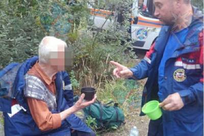 Заблудившегося пенсионера в лесу Ленобласти нашли спустя сутки