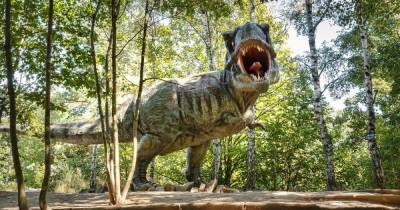 Древние родственники. Ученые обнаружили, что у тираннозавра T.rex был "кузен"