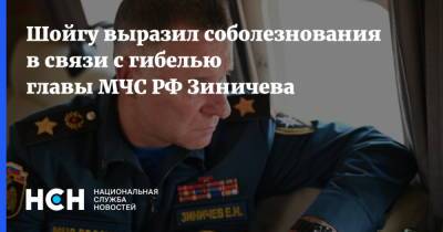 Шойгу выразил соболезнования в связи с гибелью главы МЧС РФ Зиничева