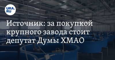 Источник: за покупкой крупного завода стоит депутат Думы ХМАО
