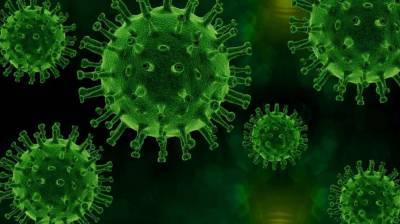 Эпидемиологи из США рассказали об опасности внеземных вирусов для людей