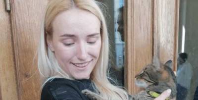 Пропавшего "кошачьего мэра" Львова нашли покалеченным спустя сутки поисков
