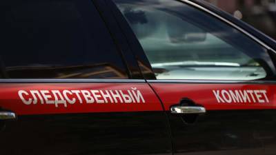 СК проверит данные о нападении мужчины на девочку в Воронеже