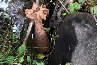 В Карачаево-Черкесии нашли минометный снаряд времен Великой Отечественной войны