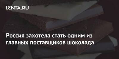 Россия захотела стать одним из главных поставщиков шоколада