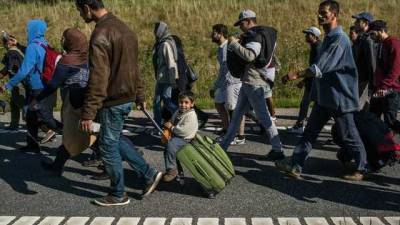 В Дании мигрантам предложат работать, чтобы получать помощь