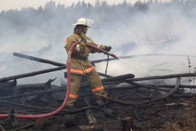 В Башкирии потушили все лесные пожары