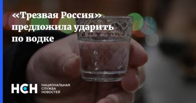 «Трезвая Россия» предложила ударить по водке
