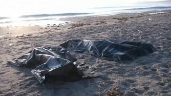 Тела двух вологжан найдены на берегу озера в Карелии