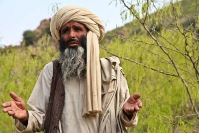 Талибы подтвердили отказ от политического плюрализма в Афганистане