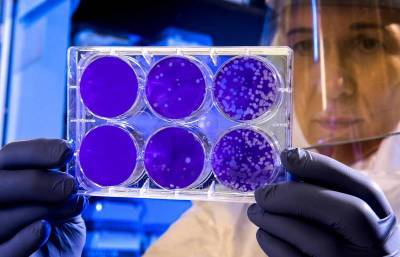 Секретные документы: Лаборатория в Ухане создавала четыре коронавируса в интересах США