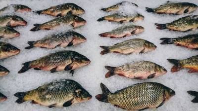 В ФАО заявили, что рыбная продукция не может переносить COVID-19