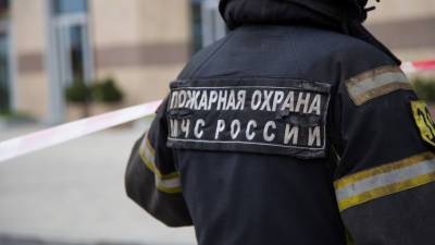 Семерых подростков из Саратовской области поблагодарили за тушение пожара