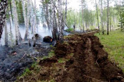 В России за сутки потушили 42 природных пожара